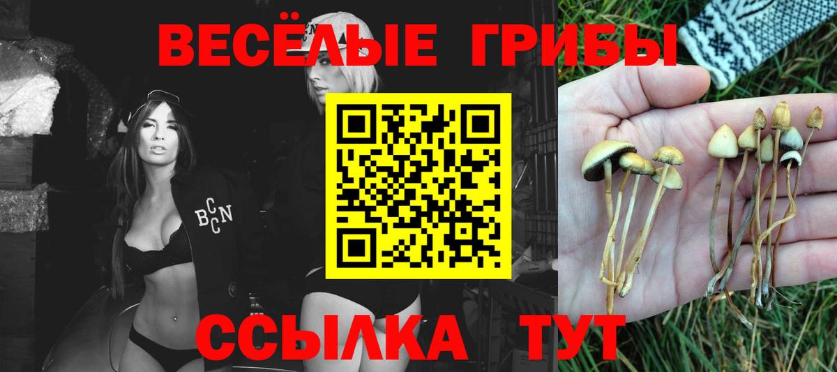 Хабаровск  Галлюциногенные грибы MAGIC MUSHROOMS  купить   Галлюциногенные грибы Psilocybine cubensis  Вход с VPN 