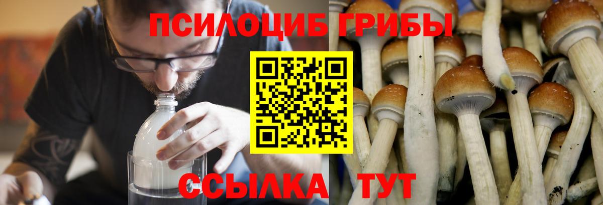 Галлюциногенные грибы GOLDEN TEACHER Хабаровск